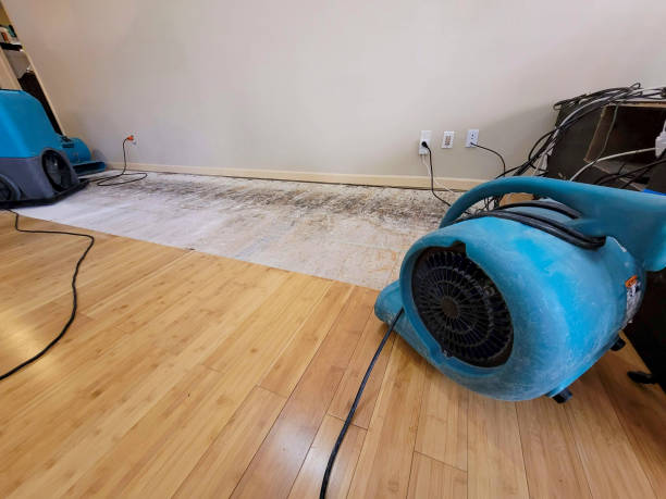 Professional Emergency Water Damage technician working in Bloomville, OH
